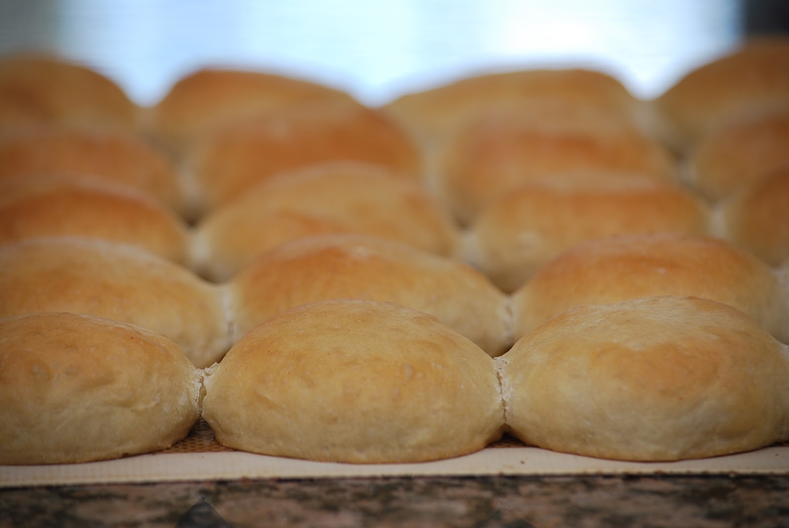 My story in recipes Buttermilk Yeast Rolls