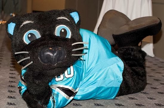 sirpurr.jpg