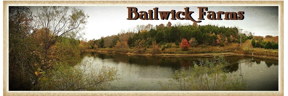 Bailwick Farms