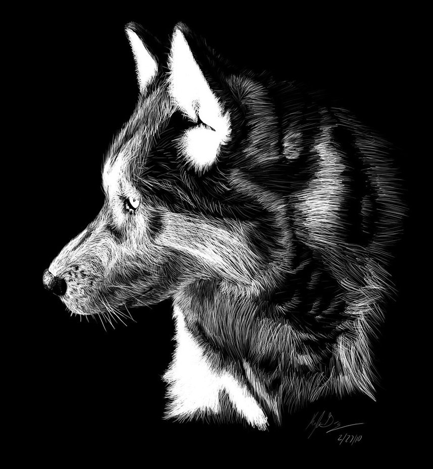 My Work of Art Scratchboard work