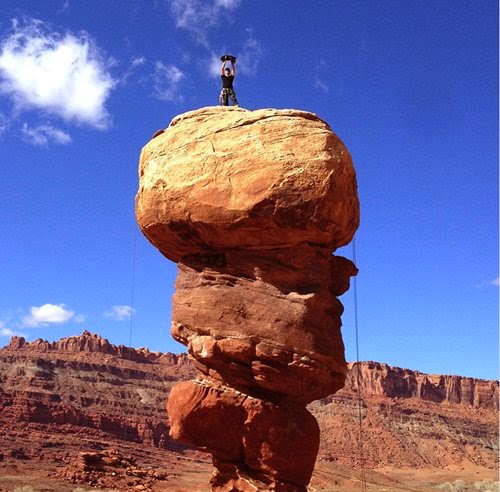Милли - кошка скалолаз Милли - кошка скалолаз