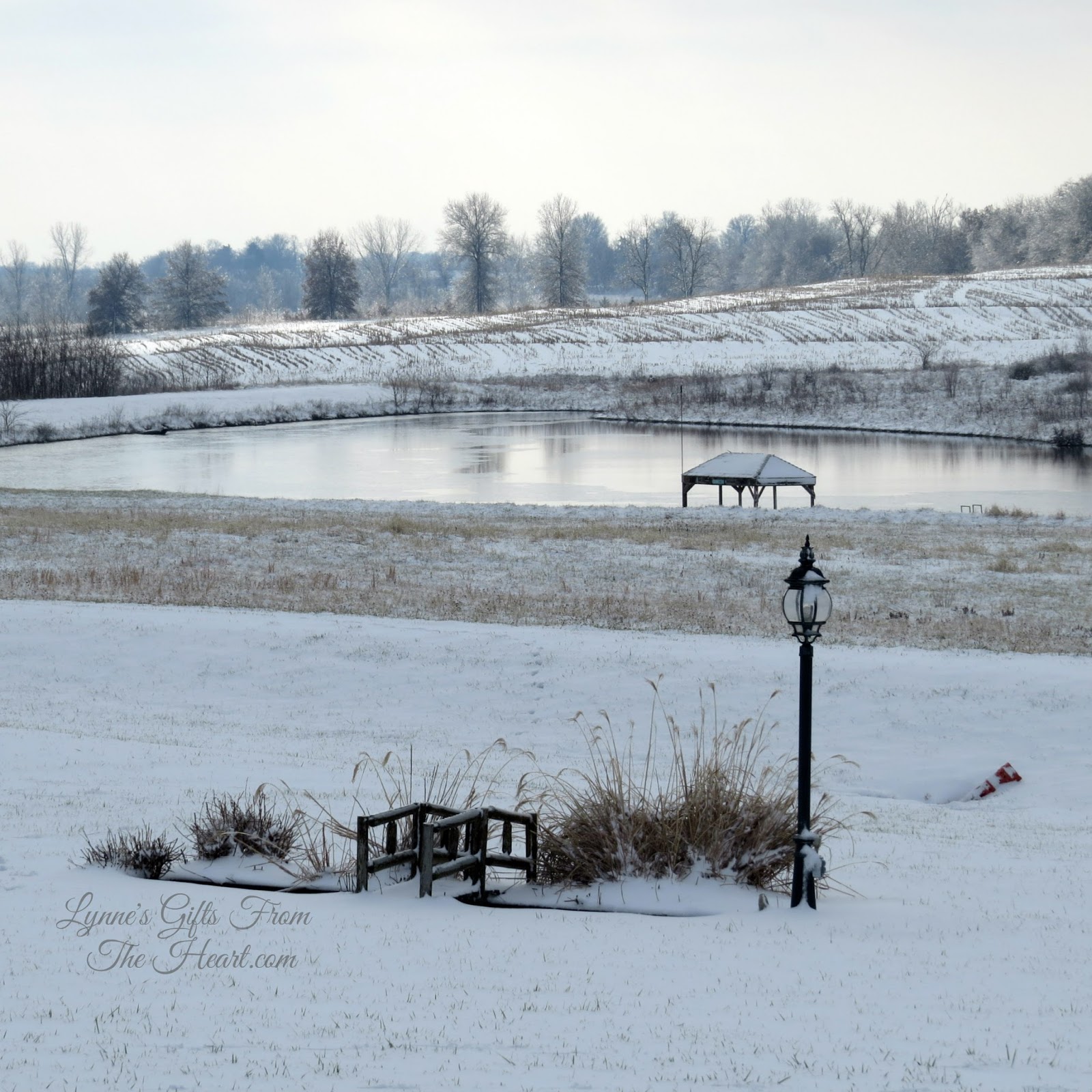Beechwood Landscape Architecture And Construction Wine Roses