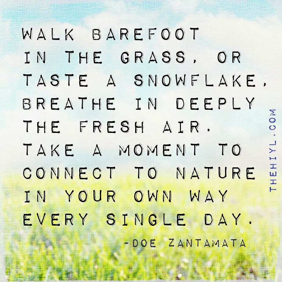 Connecting With Nature Quotes. QuotesGram