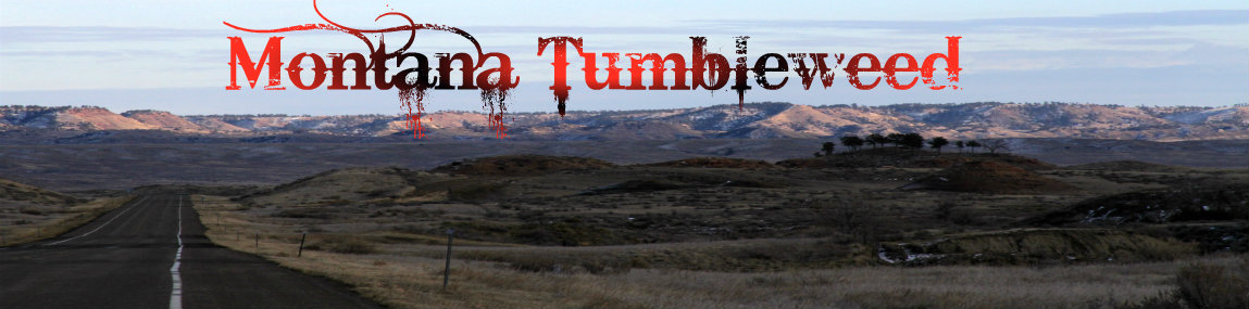 Montana Tumbleweed