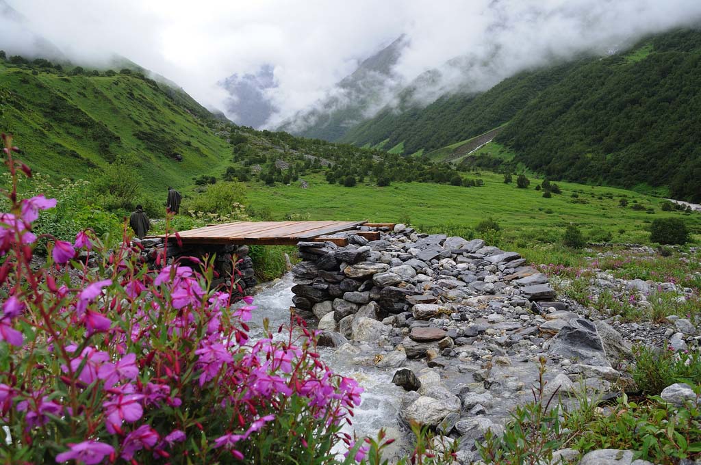 Valley of Flowe...