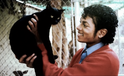  Micheal Jackson cat 