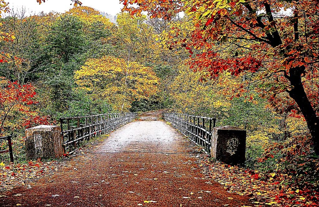 Autumn Wallpaper Autumn Wallpaper 35867750 Fanpop Autumn Wallpaper Autumn Wallpaper 35867750 Fanpop