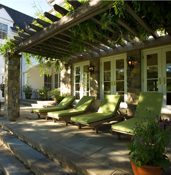 Casual Casa Deciduous vines for shade & patio cover