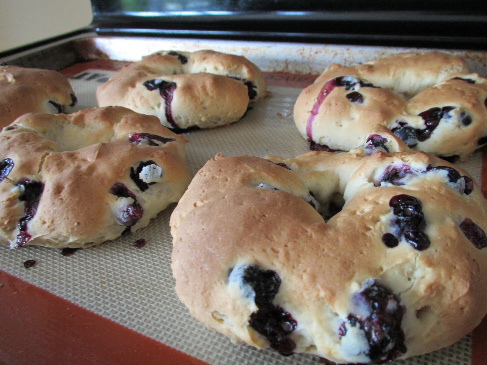Successfully Gluten Free! Blueberry Bagels