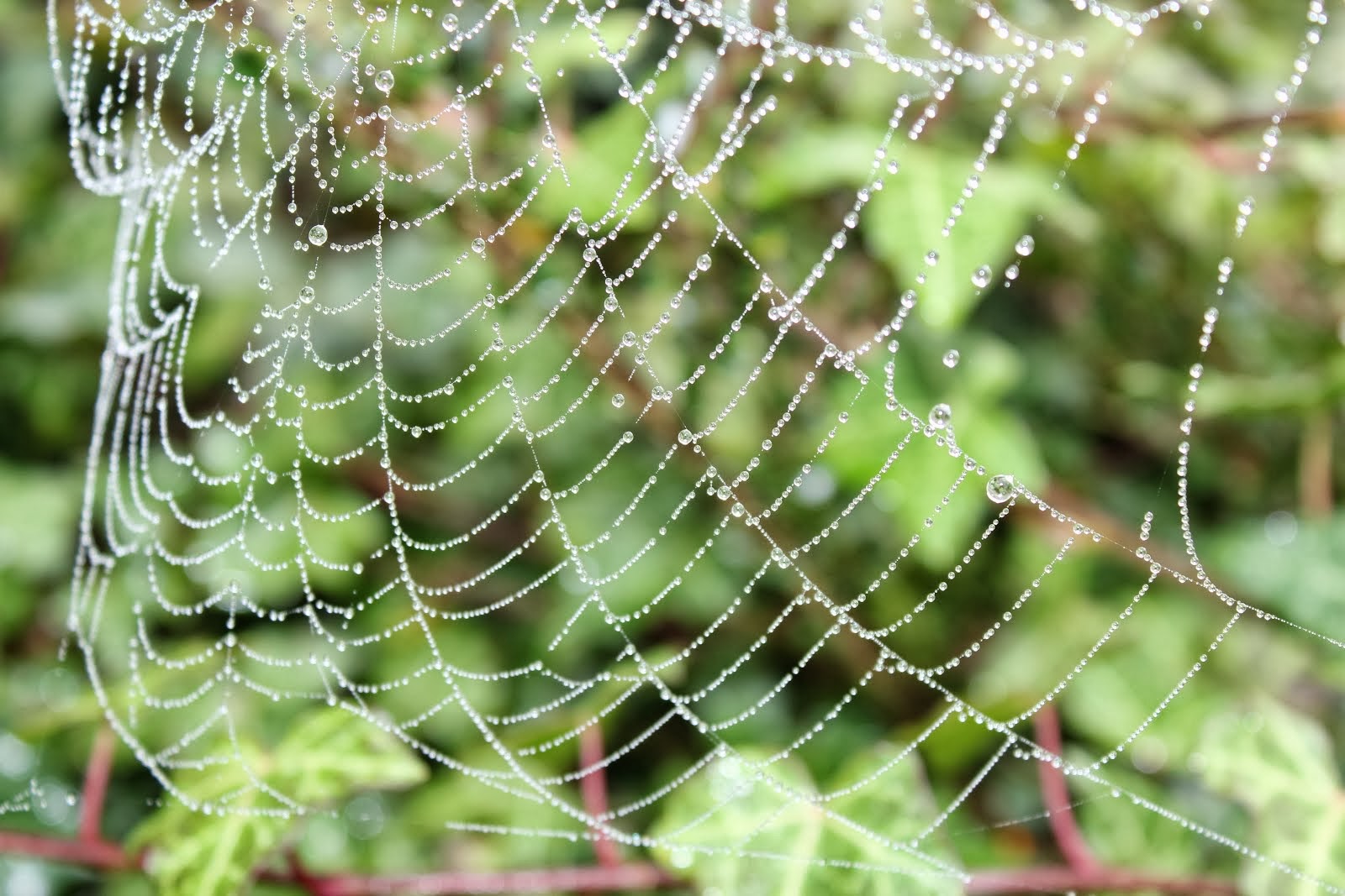 la photo du 8 octobre 2013 (1375)