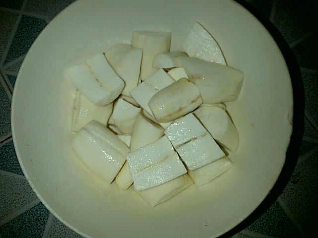 Raen Wulan Laporan Bioteknologi Pembuatan Tape