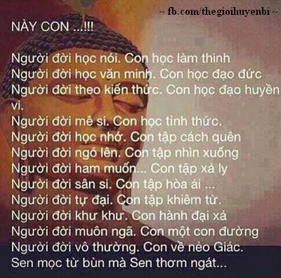 Này con!