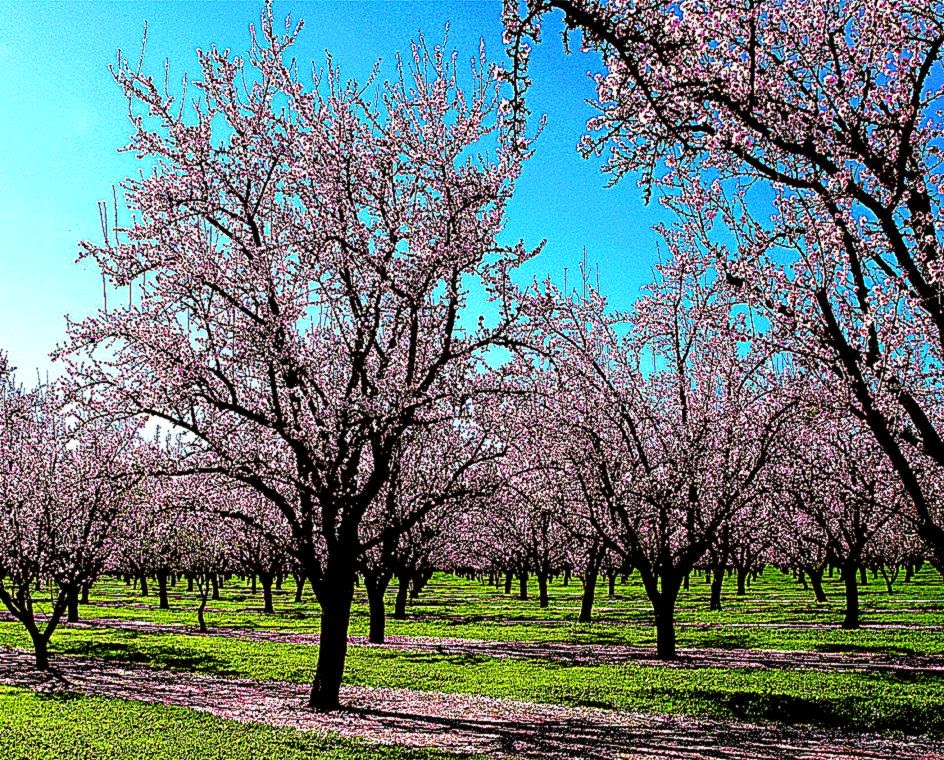 Beautiful Spring Scenery HD Wallpapers Beautiful Spring Scenery HD Wallpapers