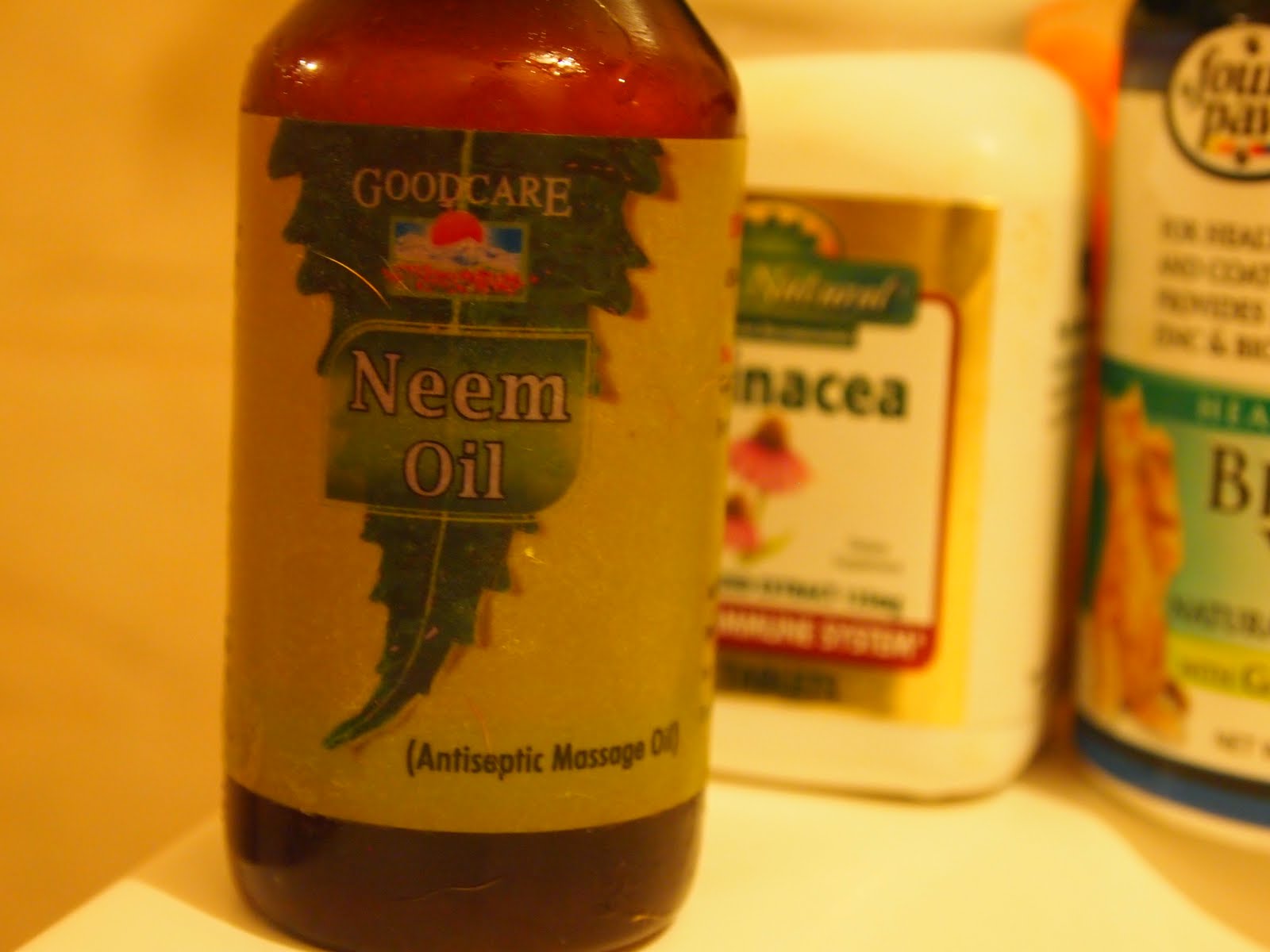 Mange Treatment How I Cured My Dog From Mange and Mites 4. The WAR