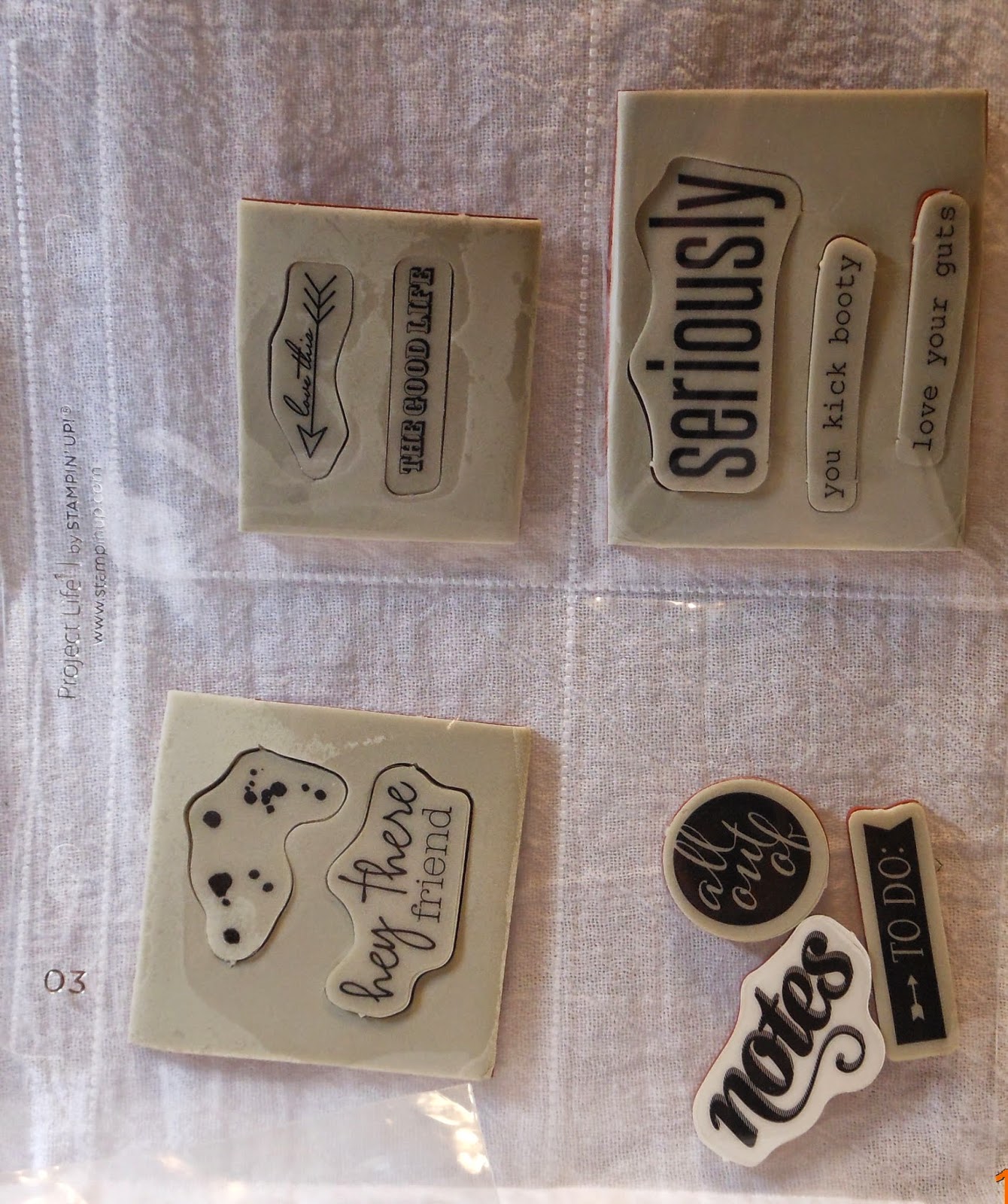 Stamps Well With Others Storing My Paper Pumpkin Stamps