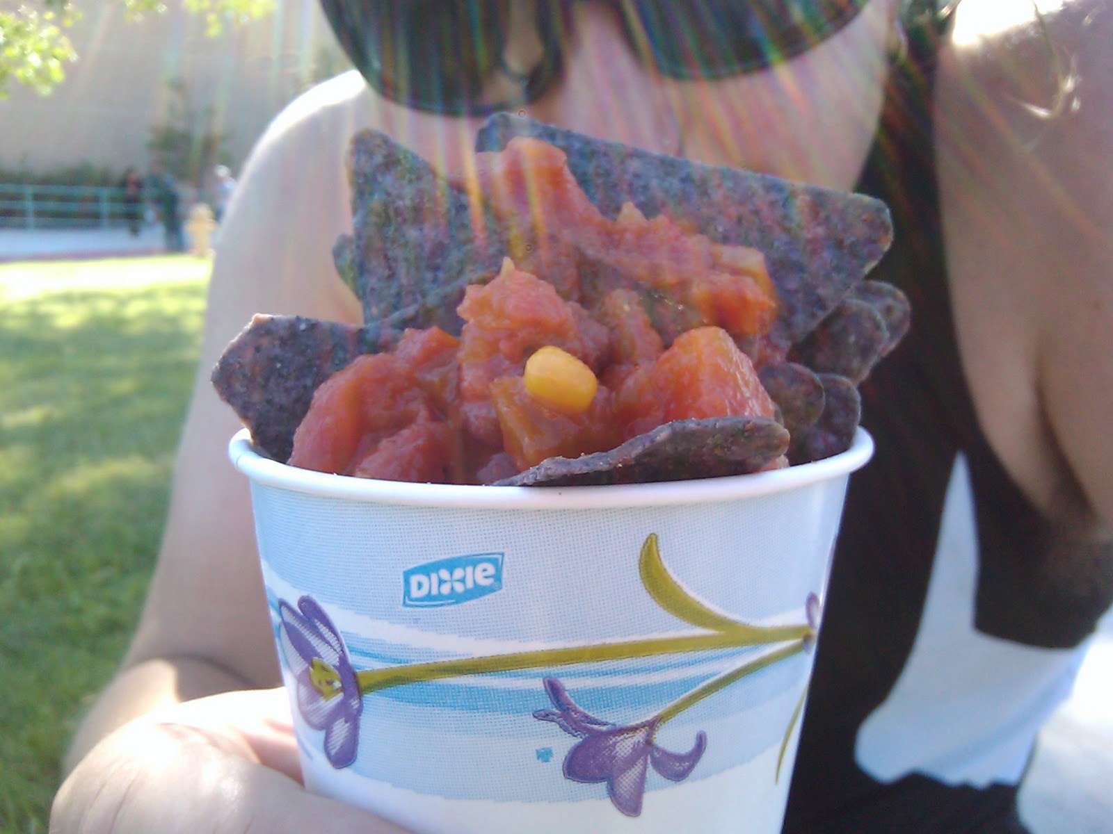 The Adventures of Team WilSun Chips and Salsa Half Marathon Race Report