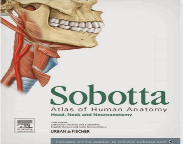 Sobotta Atlas Of Human Anatomy Cd Download 64 Bit