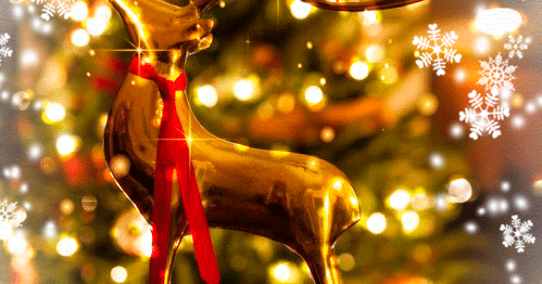 Presents christmas wrapping kickthepj photoset me2 merry mine hate Decent Image Scraps: Merry Christmas