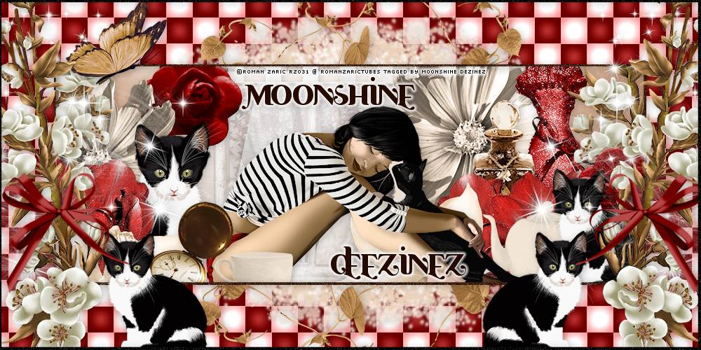 Moonshine Dezinez