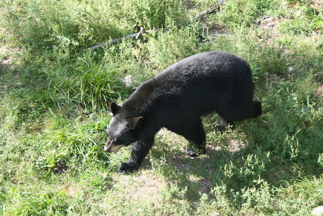 guide rencontres qubec