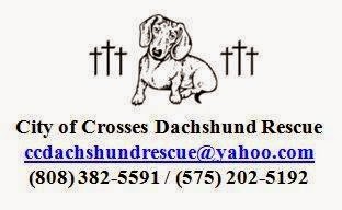 Las Cruces Dachshund Rescue