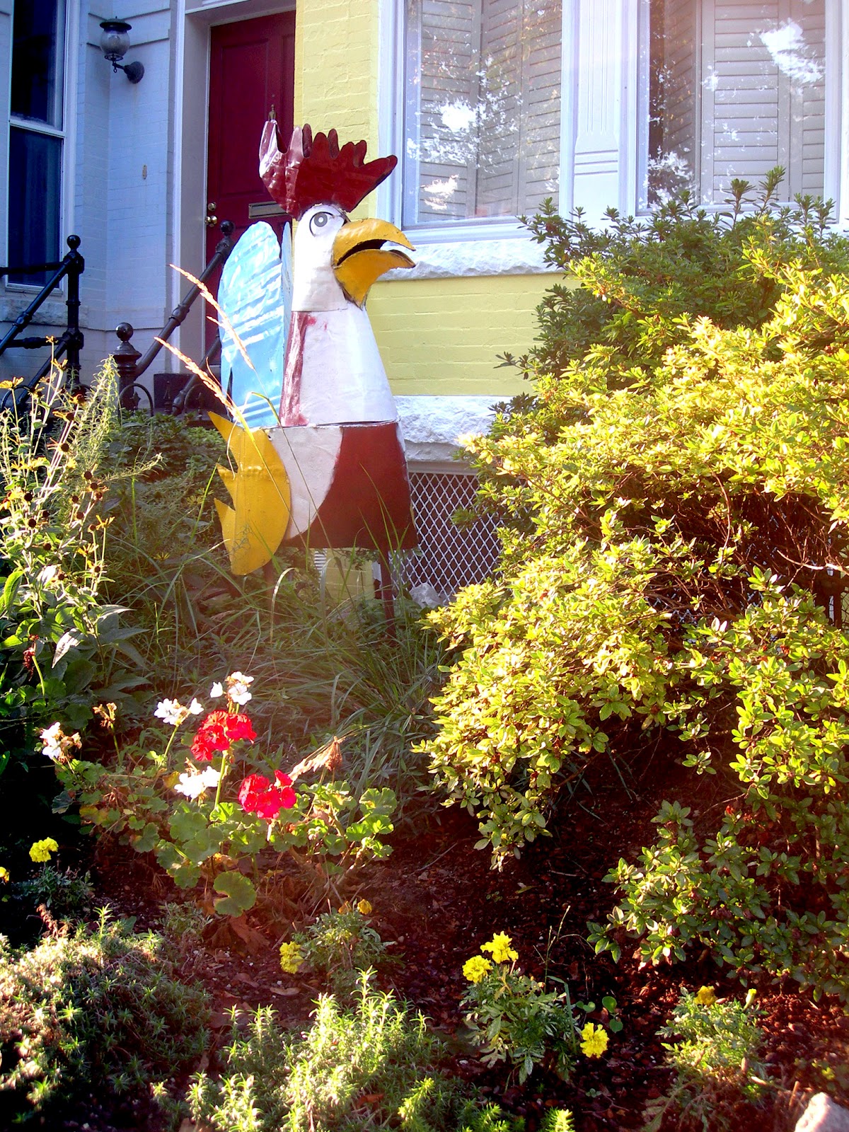 Mad Dabblings in a City Garden Beyond Flowers Decorating the Dying