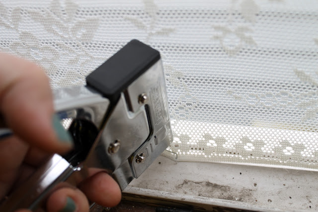 szunyoghalo_csipkebol