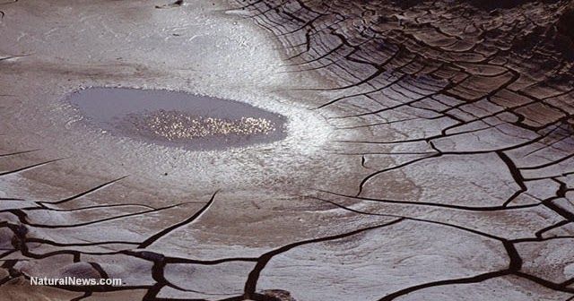 NASA Warns: Global Groundwater Crisis Could Lead To Food Supply Collapse 