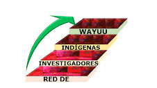 El logo de la Red de Investigadores Indígenas Wayuu