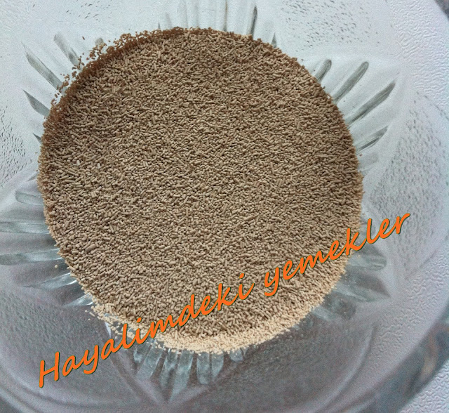 instant maya nedir ne ise yarar