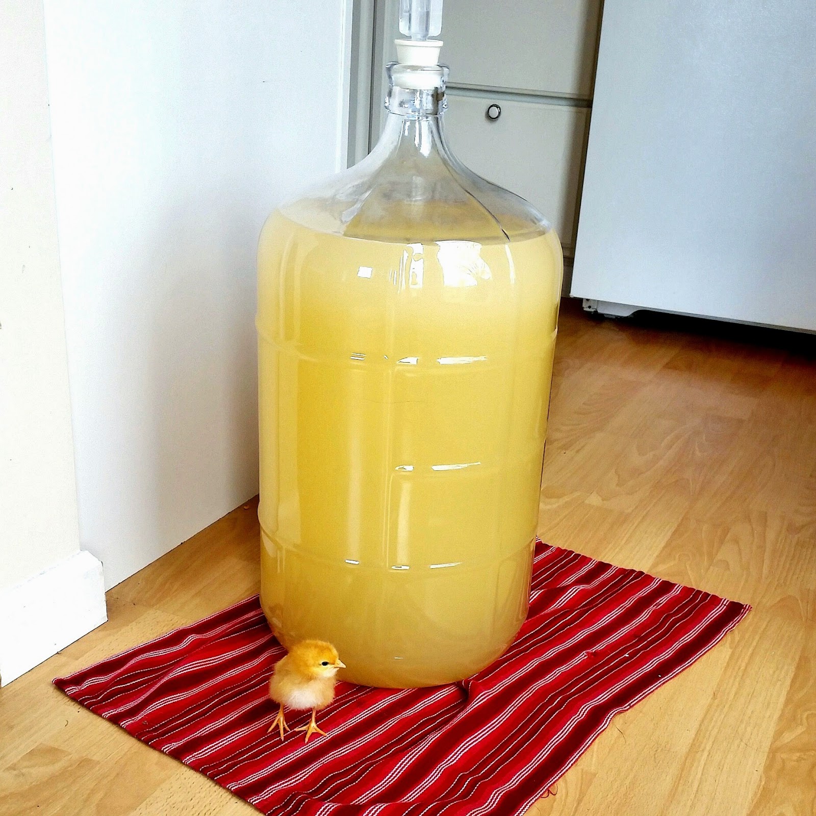 Cluck Wild Homestead Mead (Honey Wine)