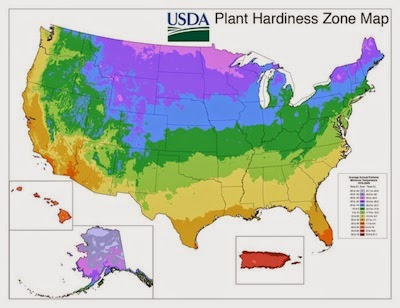 USDA Hardiness ZONE Map