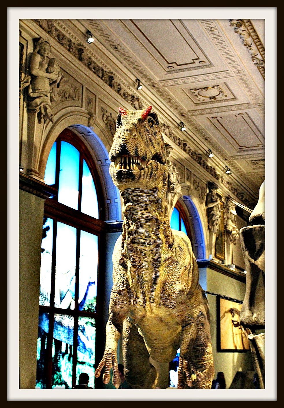 Wien Der Ultimative Guide Fur Erstbesucher Sightseeingroute