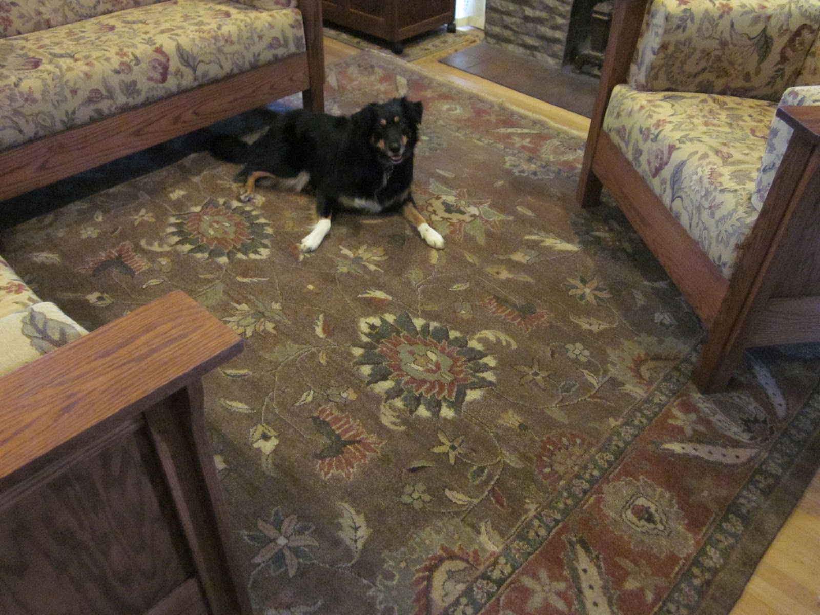 Laurelhurst Craftsman Bungalow Craigslist Binge