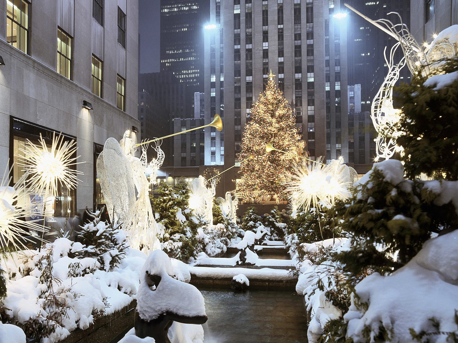 new york united states christmas tree in rockefeller center christmas ...