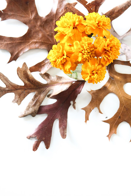 marigolds, orange flowers, autumn arrangement, oak leaves, Anne Butera, My Giant Strawberry