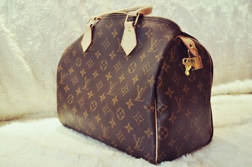J'adore Fashion: Louis Vuitton Monogram Handbags