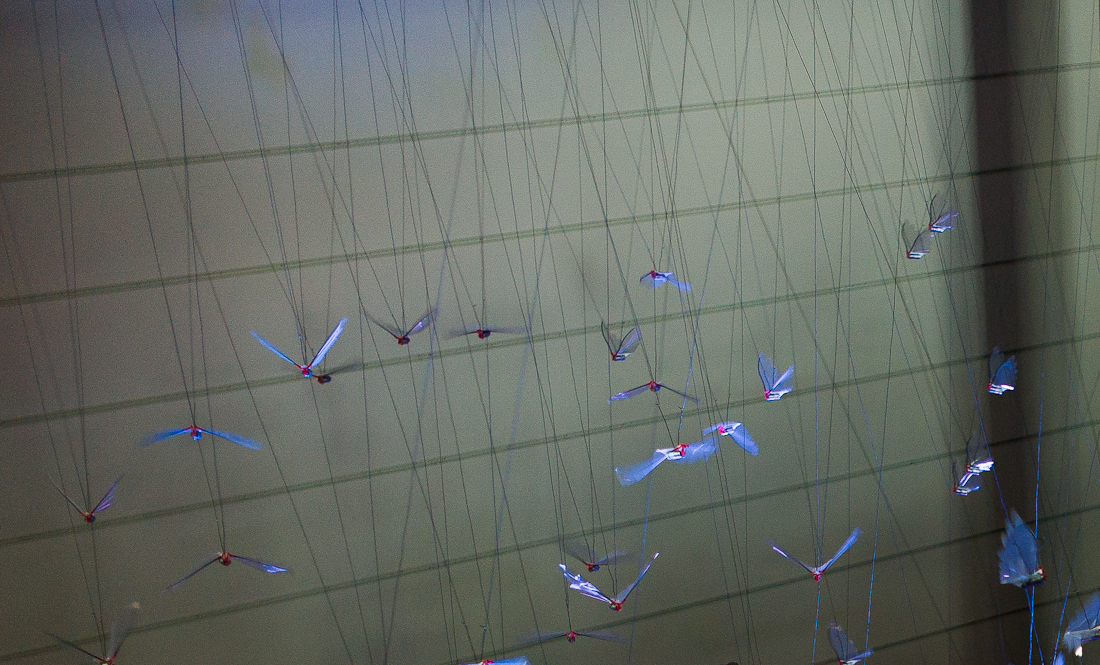 Martijn Van Wagtendonk