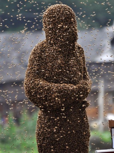 bees-1.jpg