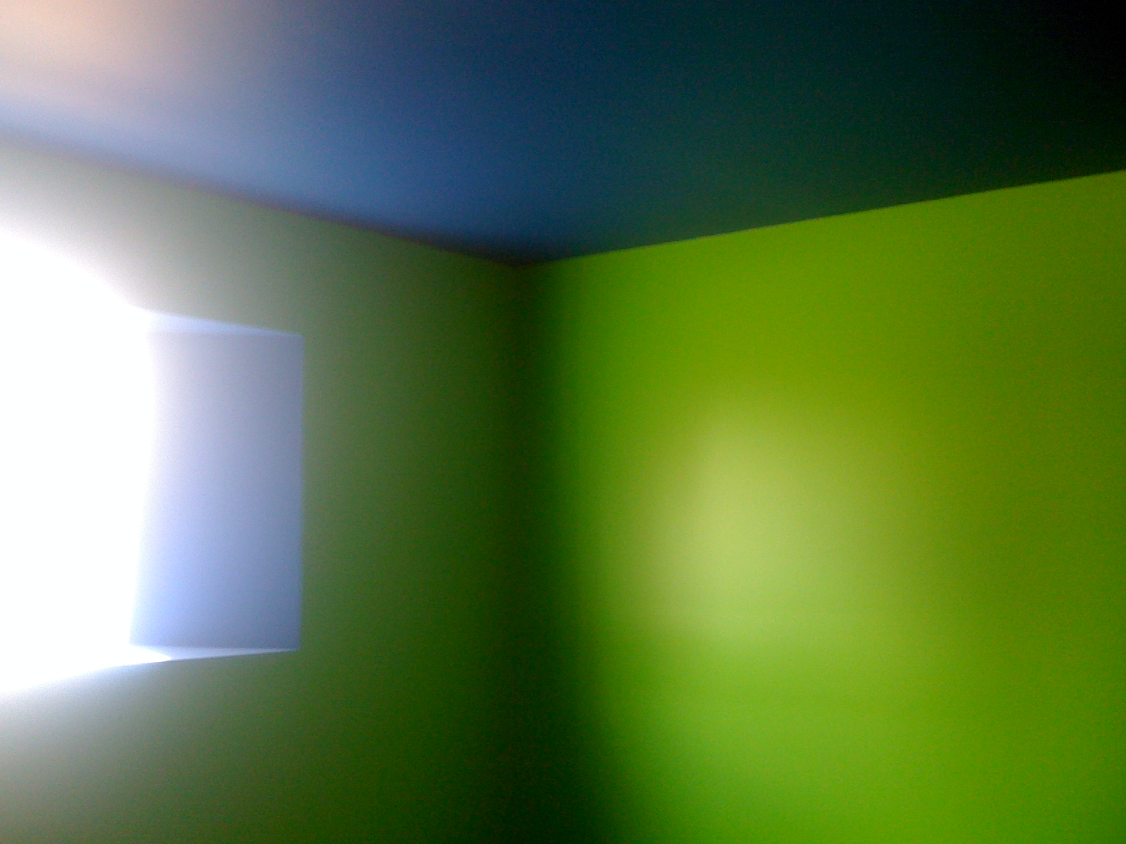 Chasing Net Zero Crazy Colours He Wanted A Blue Ceiling