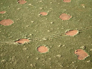 Οι μυστήριοι κύκλοι νεράιδων της Ναμίμπια! [photo]
