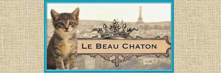 Le Beau Chaton