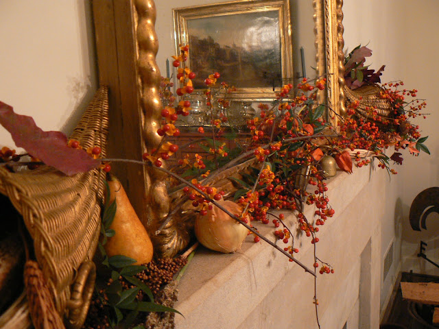 Town Country Gardens Spiraea Thunbergii Thunberg S