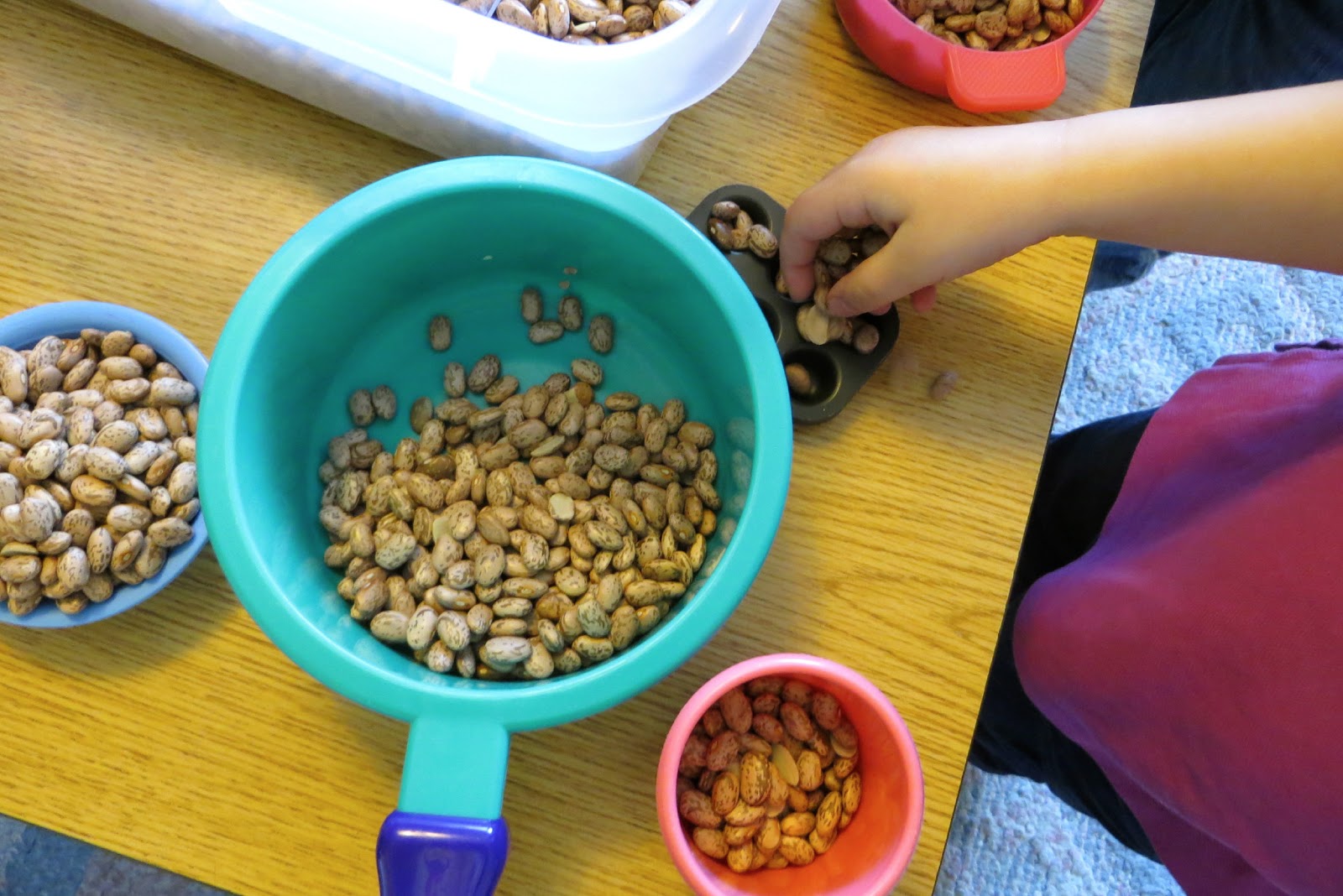 Ms. Sara's Preschool Blog Sensory Play Bean Bin