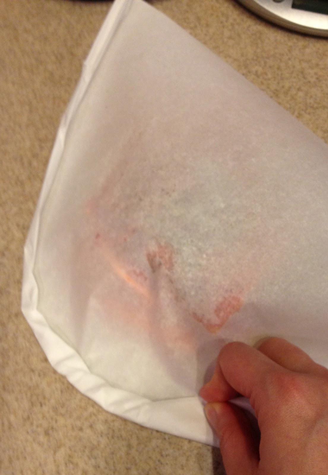 The Paleo Review Alton Brown's Parchment Paper Salmon