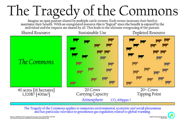 tragedy essay