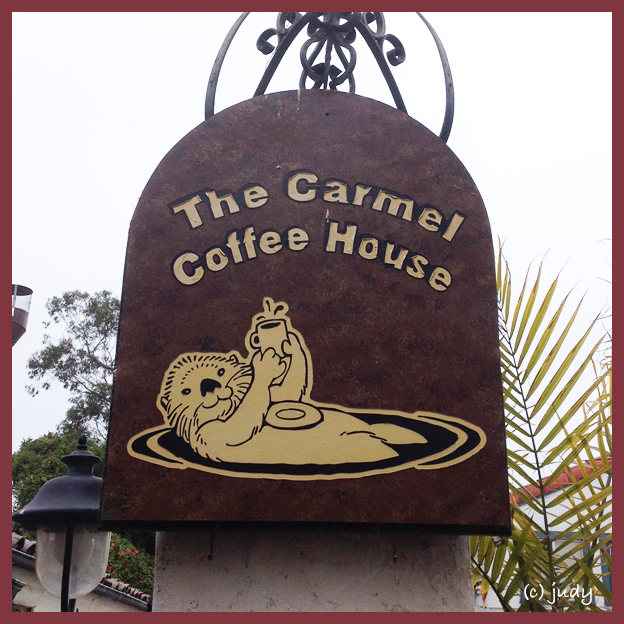 bailey unleashed coffee w/ bailey the carmel coffee house