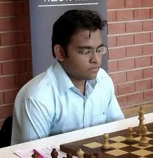 Kasparov wants Carlsen to Win. Karpov has no Clear Preference. Kramnik  thinks Anand can Win ~ World Chess Championship 2013 Viswanathan Anand vs  Magnus Carlsen at Chennai Hyatt Regency