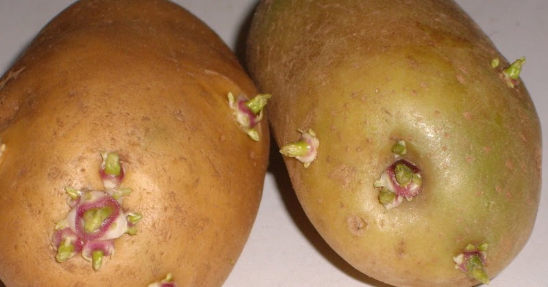 Miller Academy of Academic Excellence: Shouldn’t a child’s education