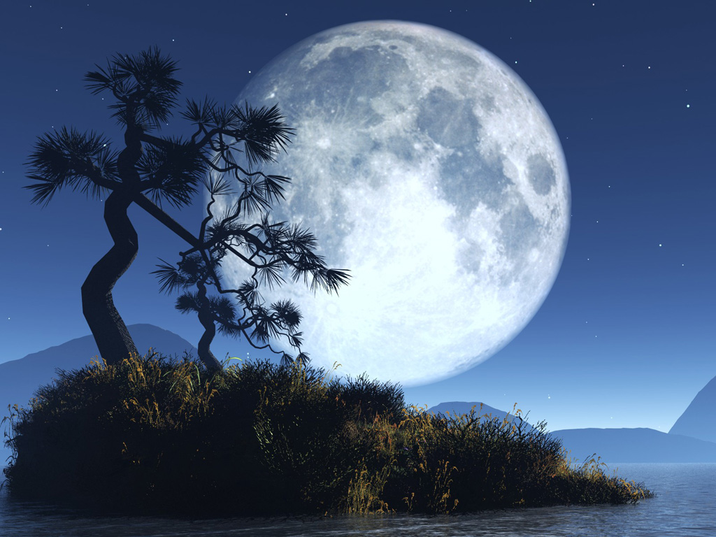 Beautiful Night Sky wallpaperWallpaper Background Wallpaper Background